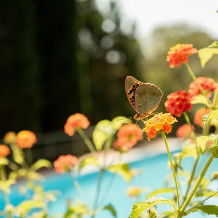 וילה Lo Schioppo Vista Mare מרצ'יאנה מרינה